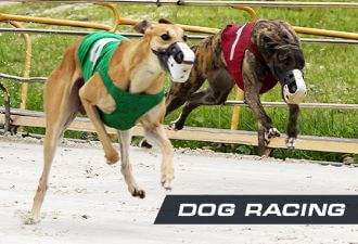 Dog racing